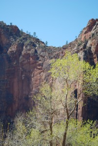 Angel's Landing Saddle