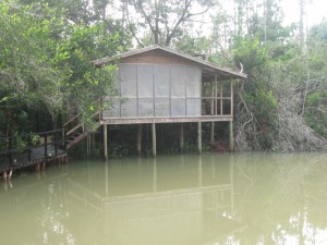 Cabin at Zoo