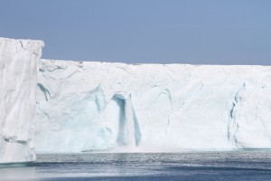 Svalbard Polar Bears