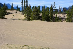 World's Smallest Desert