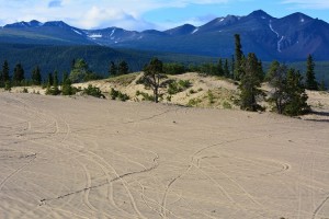 World's Smallest Desert