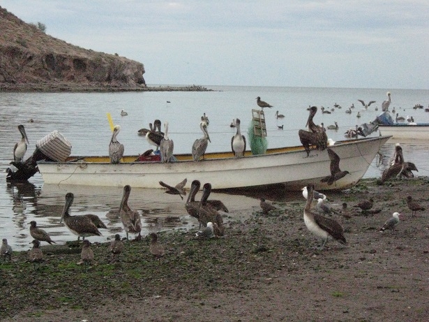 San Ignacio - Yukon
