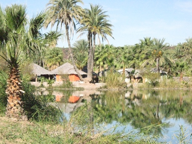 San Ignacio & Mulege