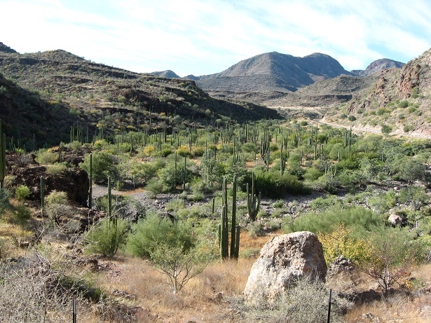 San Ignacio - Mulege