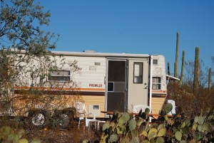 Organ Pipe Cactus