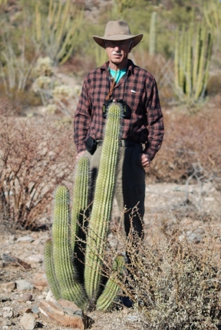 Orang Pipe Cactus