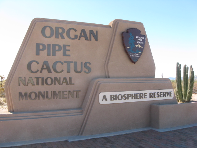 Snakes - Organ Pipe Cactus National Monument (U.S. National Park Service)