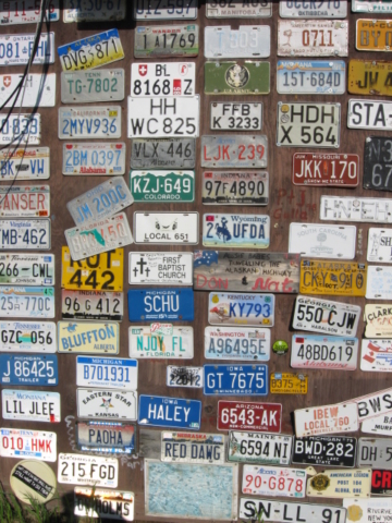 Signpost Forest