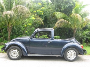 Mexican Vehicles
