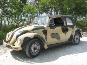 Mexican Vehicles