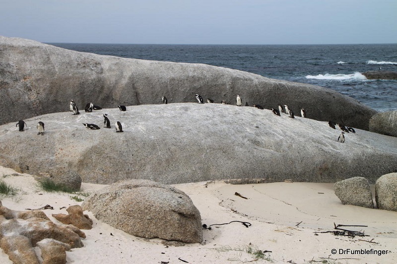 Cape Point