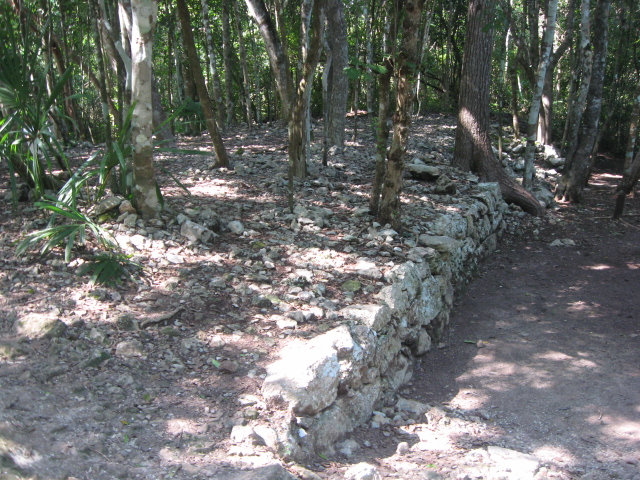Coba
