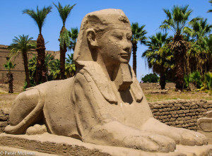 Nile Cruise