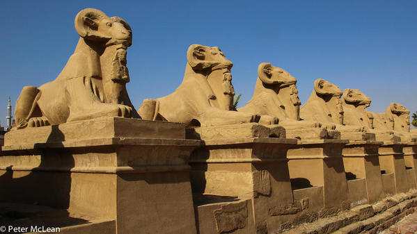 Nile Cruise