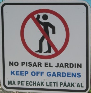 Mayan Sign