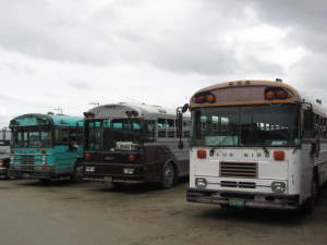 Belize Buses