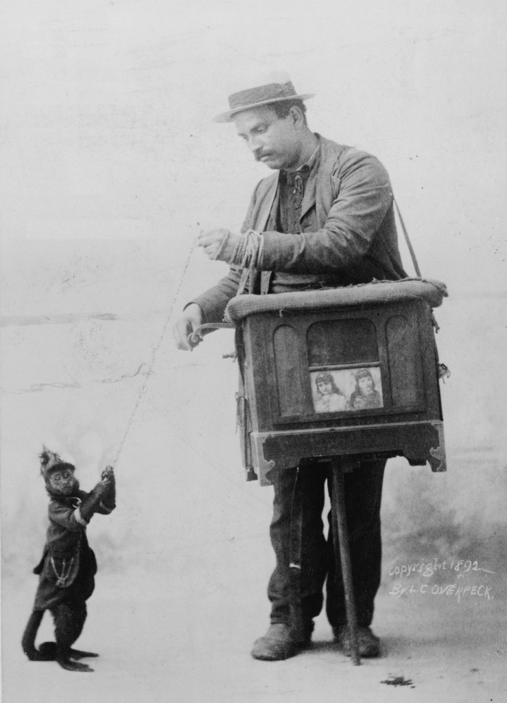 Organ Grinder