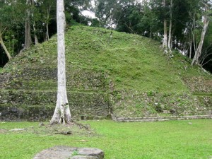 Unexcavated 1