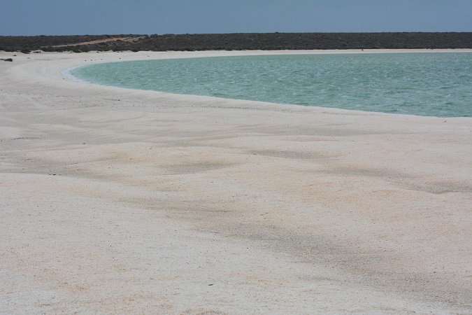 Shark Bay
