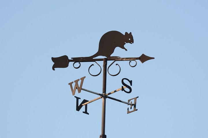 Rottnest