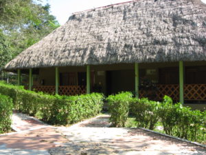 Escudo Jaguar
