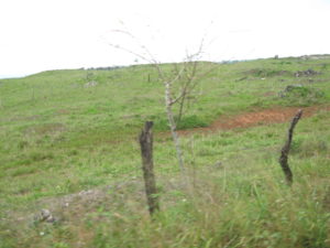 Peten