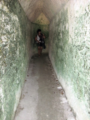 Tikal